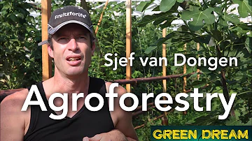 Agroforestry - Sjef van Dongen