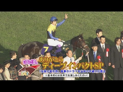 菊花賞馬ディープインパクト号パネル写真 ディープインパクト