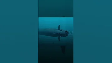 ОРУЖИЕ СУДНОГО ДНЯ Торпеда Посейдон Shorts 