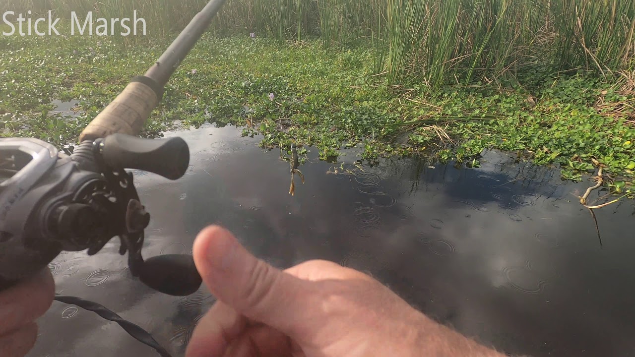 BASS Fishing Stick Marsh for the First TimeThanksgiving 2020 YouTube