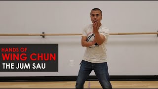 Solo Training Drills:  - Jum Sau PT 1 - Wing Chun, Kung Fu Report - Adam Chan screenshot 5