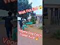 Vegeta Dog Catching Aura Trailer #vegeta #dog #dogwithpublicsafety #ytviral #pets #dogshorts #shorts