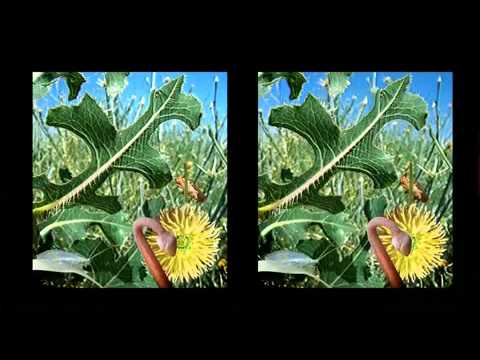 3d без очков картинки