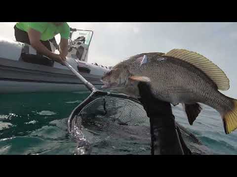 Pesca Submarina Verano 2022 con los Hermanos Ruiz González