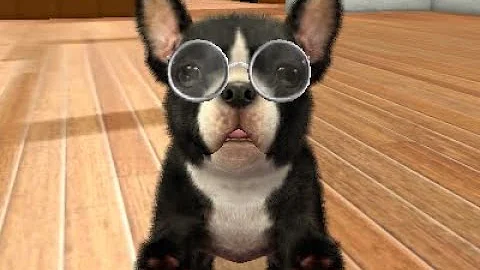 nintendogs + cats: French Bulldog & New Friends Playthrough Part 2