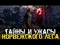 ТАЙНЫ И УЖАСЫ НОРВЕЖСКОГО ЛЕСА - Through The Woods [Хоррор стрим, Прохождение]