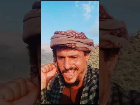 البترول المتر السارق المزاح     