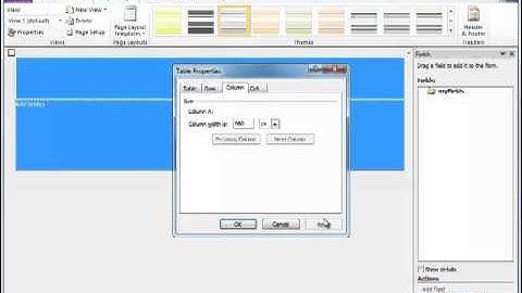 Web Form Creation with TM1:Create a prototype (Part 1 of 6)