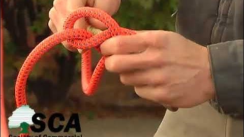 Anchor knot (version 2) for tree workers