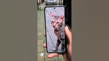 Moto Razr 50 Ultra Camera Test 🔥