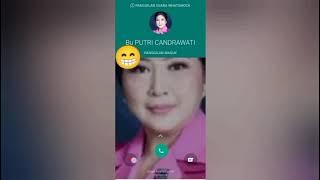 Nada Dering memanggil Putri Candrawati | STORY WA LUCU