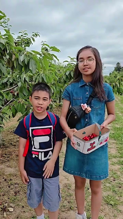 Cherry Picking🍒