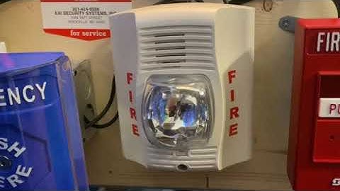 System Sensor P2W Spectra Alert Advance Fire Alarm Horn Strobe Test