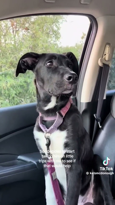 And he got healed completely by love ❤️😘