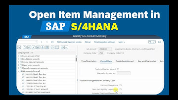 SAP S/4HANA Open Item Management - Everything you need to know