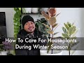 Surviving Your First Winter With Houseplants | Indoor Plants Winter Care Tips