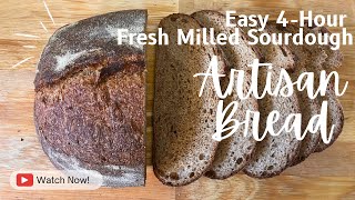 Easy 4 Hour Fresh Milled Sourdough Artisan Bread