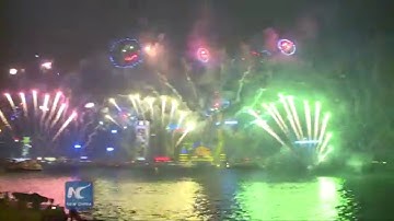 Fireworks light up HK for New Year
