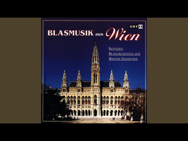 Konzert-Blasorchester der Wiener Gaswerke - Die beiden Savojarden