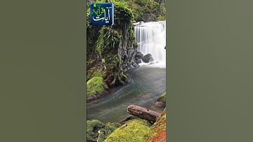 ولو فتحنا عليهم باباً من السماء سورة الحجر للقارئ هزاع البلوشي
