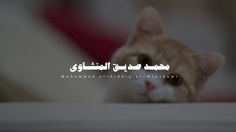 سورة الفتح : بصوت محمد صديق للمنشاوي راحه نفسيه 3 دقايق 🩵🥹 !