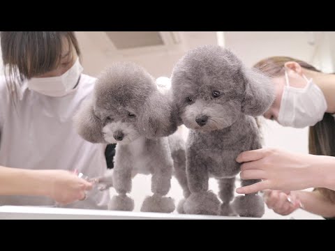 いつも一緒だよ