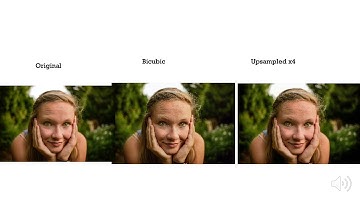 UOfT CSC420 2019 Project: HomoRes