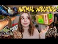 Unboxing 6 VENOMOUS & POISONOUS Animals!