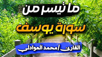ما تيسر من سورة يوسف (لقد كان لكم في يوسف واخوته ايات لسائلين....)