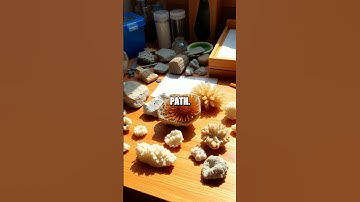 Thumbnail of The Intriguing World of Fulgurites: Nature's Glass Formations
