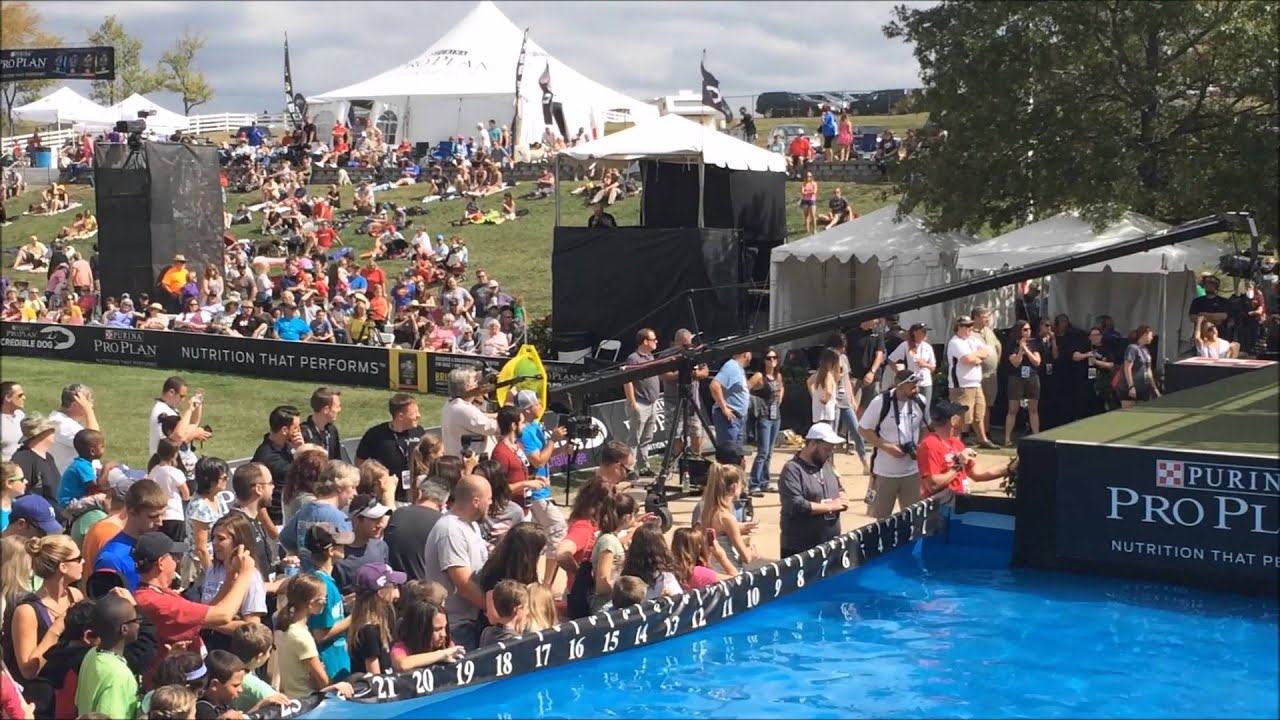 Purina Incredible Dog Challenge Sept 2015 Purina Farms Gray Summit