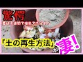 【土の再生】こんな再生方法見たことない？！ / 簡単で無駄がなく、たった1週間で植栽できます / 微生物資材「カルスNC-R」/ 秋の植栽を前に土を再生させちゃいましょう♫【ガーデニング】