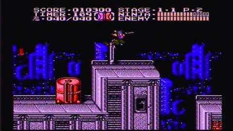 Game Genie Goofiness - Ninja Gaiden II - POOPOT