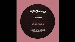 Zetbee - Get Up On This