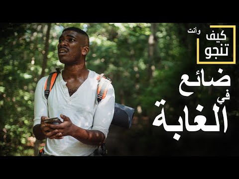 كيف تنجو في الغابة لقاءات مميتة 4 نصائح البقاء على قيد الحياة 