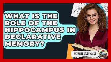 What Is The Role Of The Hippocampus In Declarative Memory? - Ultimate Study Hacks