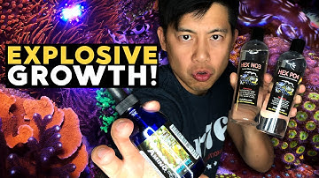 I started dosing Nitrate, Phosphate, Amino Acid in my reef tank!