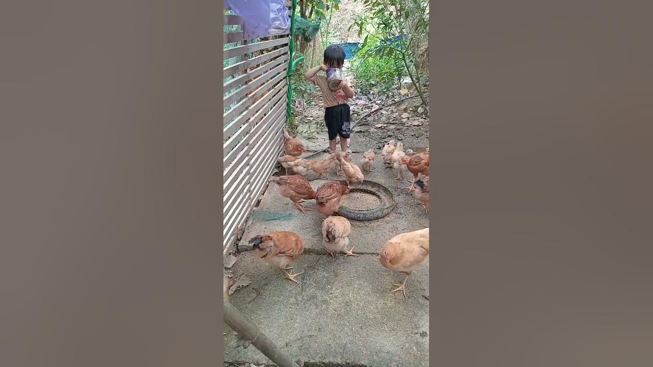 #hảt - YouTube