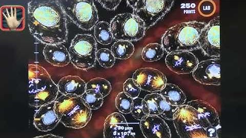 Tech Edge, iPads In The Classroom - Episode 159, Life Science Apps