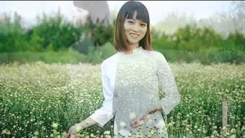 Đông Cúc Họa Mi - Cao Tùng Anh