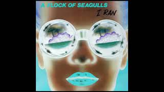 A flock of seagulls   I Ran  M  extended