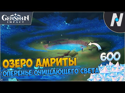 Озеро Амриты - Оперенье очищающего света | GENSHIN IMPACT