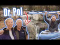 Adding a Waterfall to Dr. Pol's MASSIVE *POND*