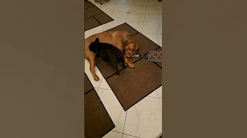 Laro Laro Muna 