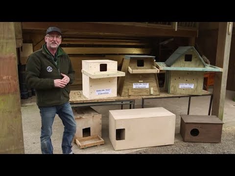 Video: Owl Box Plans - Lær om uglehusdesign og plassering av ugleredet