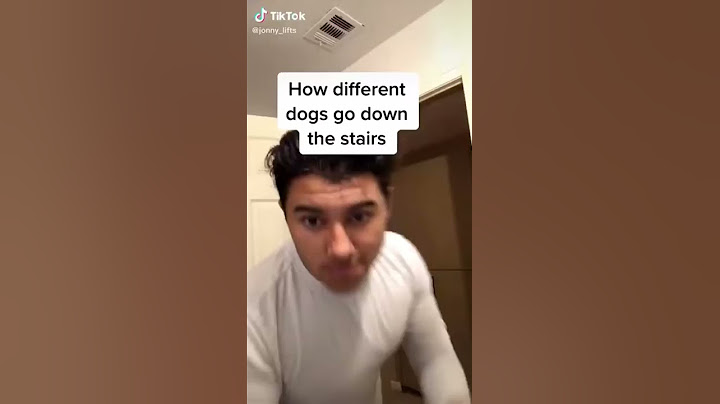 How different dog go down the stairs. Tik Tok
