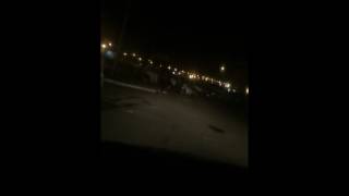 Воронежцы засекли в городе лошадь, одиноко гулявшую по проезжей части в потоке машин