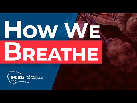 Video: Außer Atem? Lungenhyperinflation erkennen und diagnostizieren