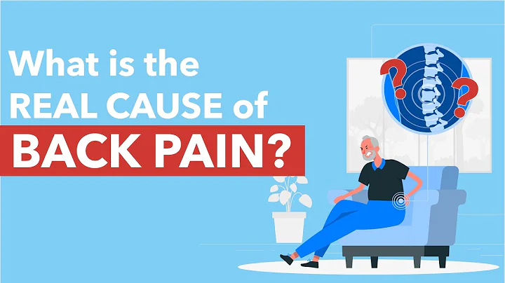 Discover the True Causes of Back Pain - Dr Andrew ...