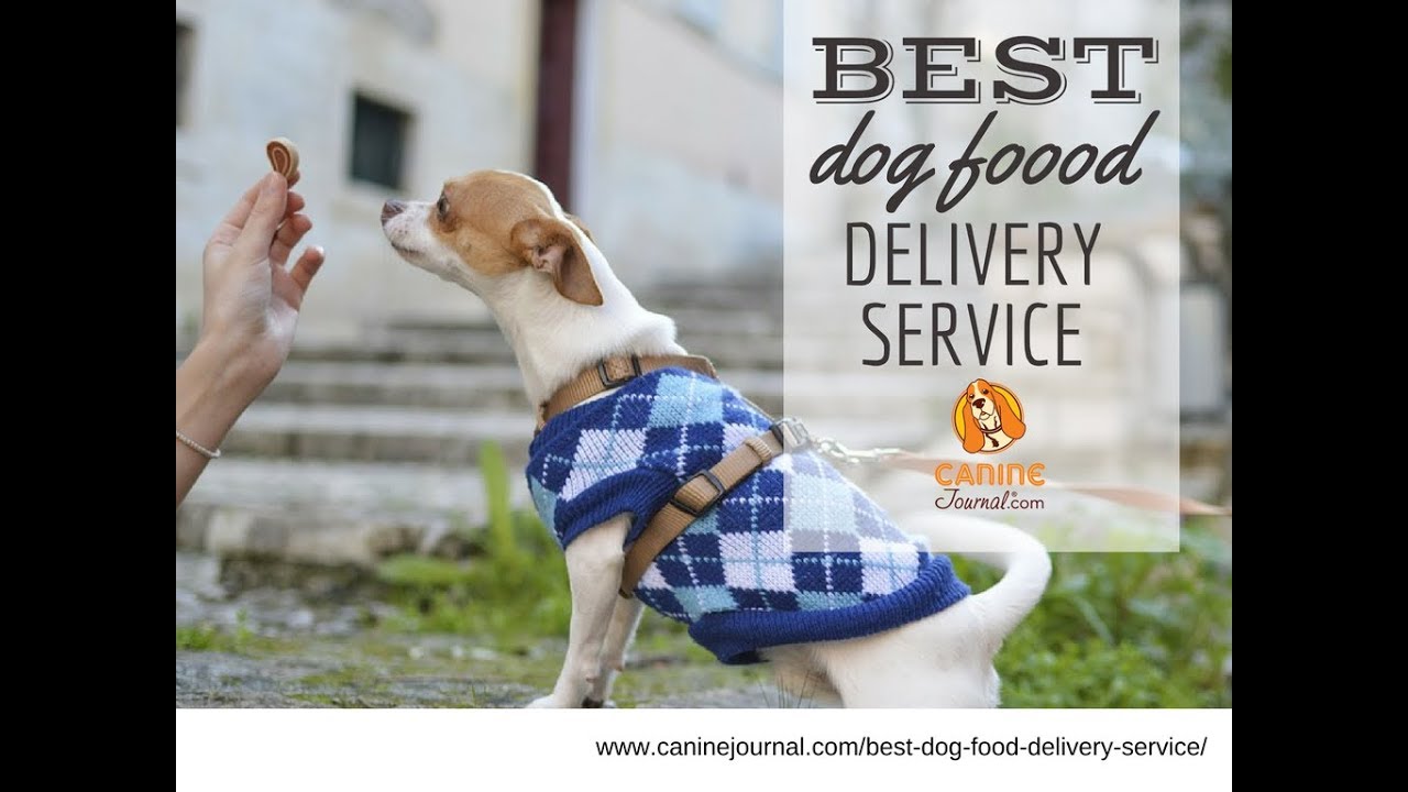 homemade dog food delivery service